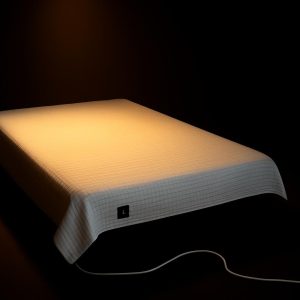 EarthSheet Argent Blanc