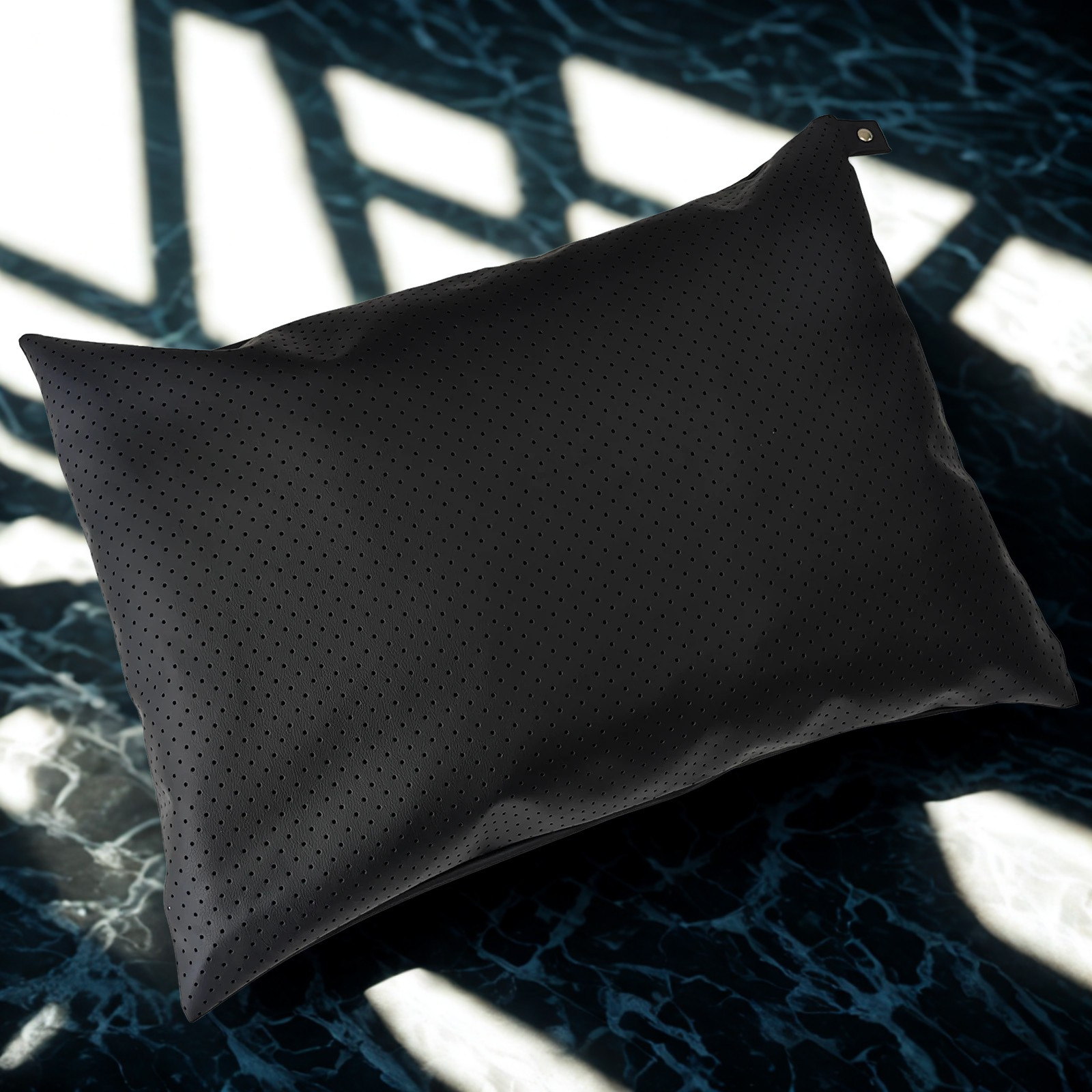 EarthPillow Noir Pro